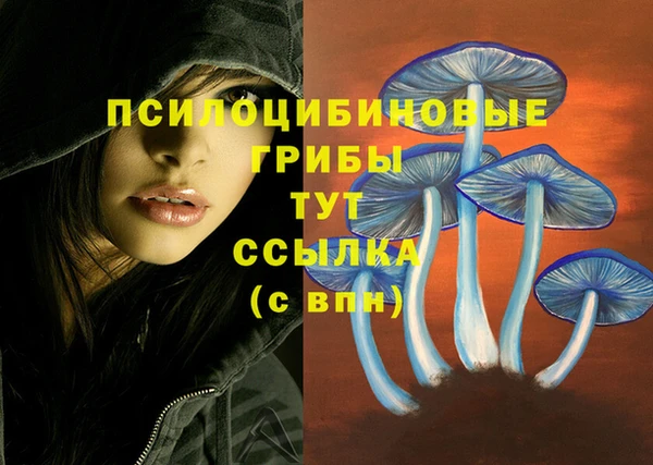 марки lsd Корсаков
