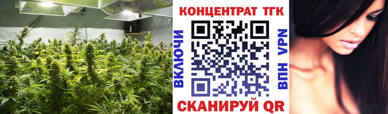 ТГК гашишное масло  Купить закладки  Куса 