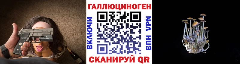 Галлюциногенные грибы прущие грибы  Купить где  Куса 